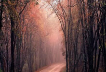 水晶宫主场对决曼城战术全面铺开