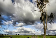 快船队取得四连胜，戈登贡献高效得分