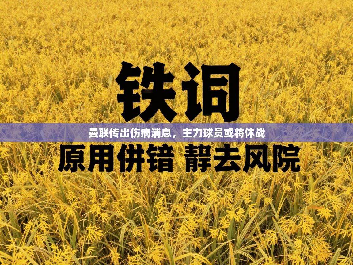 曼联传出伤病消息，主力球员或将休战